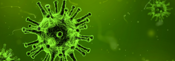 Coronavirus – A message from our Managing Director – 19/05/2020